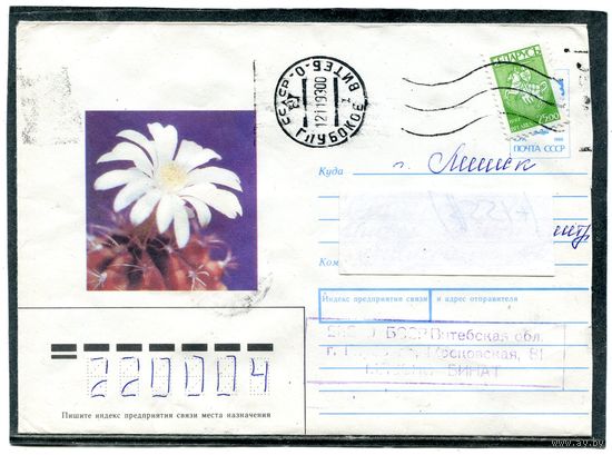 Беларусь. ХМК. Конверт п.п. Кактус гимнокалициум Михановича. Штемпель Глубокое 1993