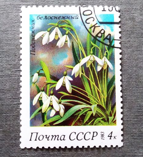 Марки СССР 1983 год Цветы