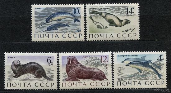 Морские млекопитающие. 1971. Полная серия 5 марок. Чистые