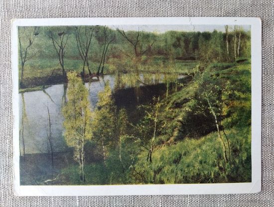 Открытка . Первая зелень . Остроухов . 1963 г.