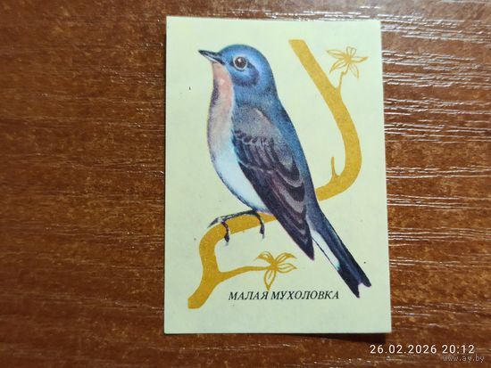 Спичечная этикетка Малая Мухоловка
