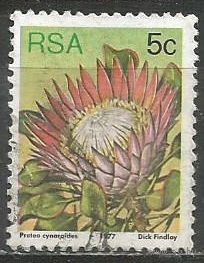 ЮАР. Протея артишоковая. 1977г. Mi#516.