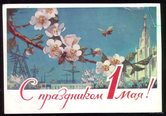 1961 год Н.Чертенков С праздником 1 мая