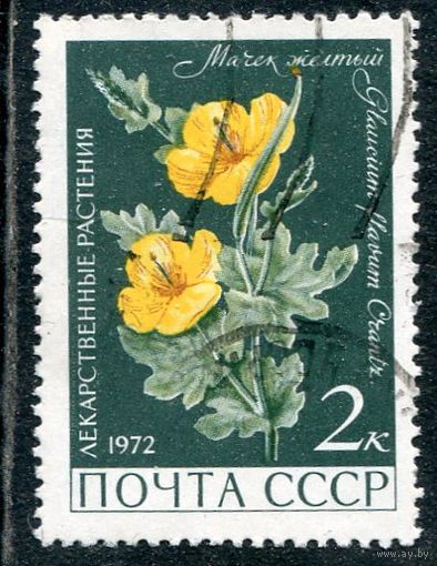 СССР 1972.. Флора. Мачек желтый