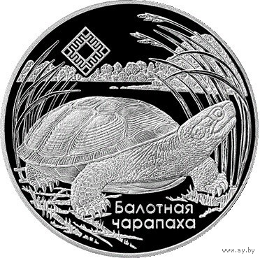 Болотная черепаха - Заказник Средняя Припять - 2010 Беларусь 20 руб Серебро 925