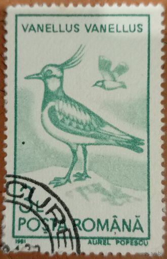 Румыния 1991. Фауна. Птицы. Vanellus