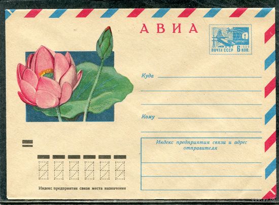 СССР 1973. ХМК. Конверт Авиа. Лотос орехоносный