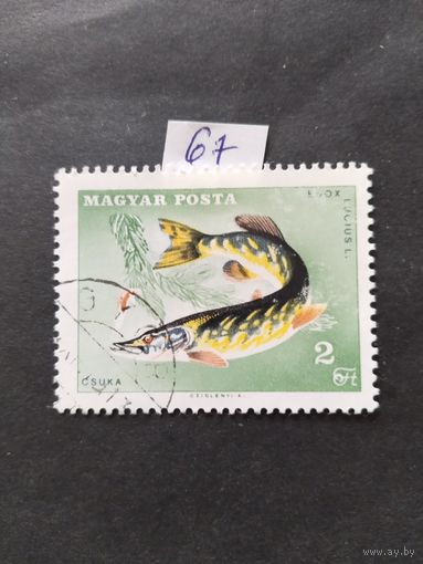 Венгрия  1967 щука