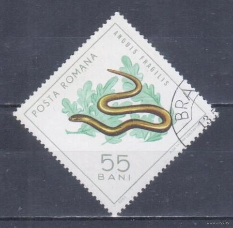 [610] Румыния 1965. Фауна.Рептилии.Веретеница. Гашеная марка.