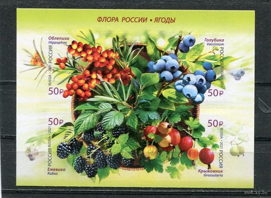 Россия 2021. Флора. Ягоды. Верхний квартблок листа