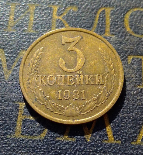 3 копейки 1981 СССР #44