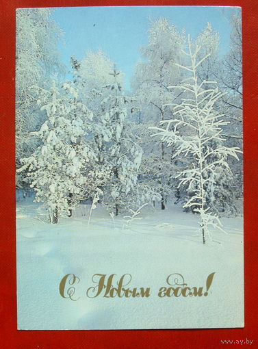 С новым годом! Чистая. 1989 года. Фото Буркина. 1585.
