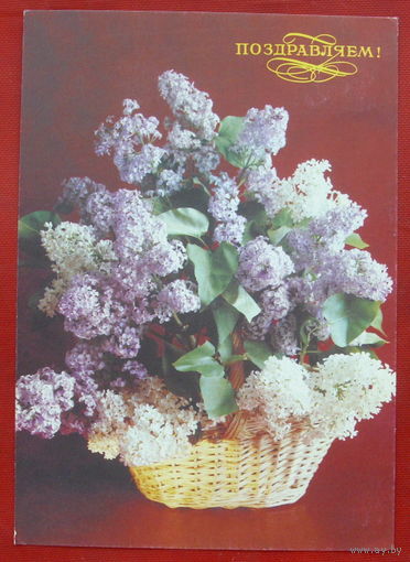 Поздравляем! Чистая. 1992 года. Костенко. 1410.