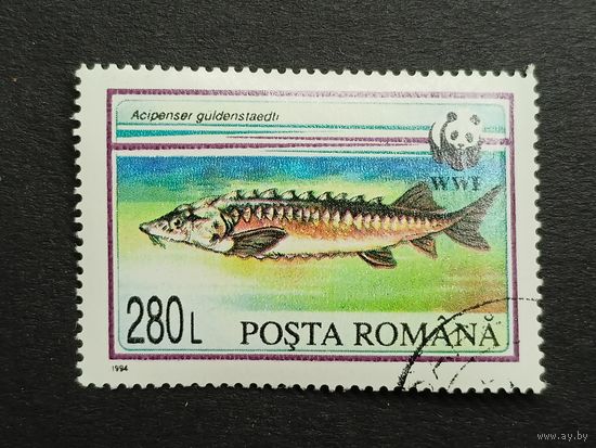 Румыния 1994. Всемирный фонд дикой природы. Осетр