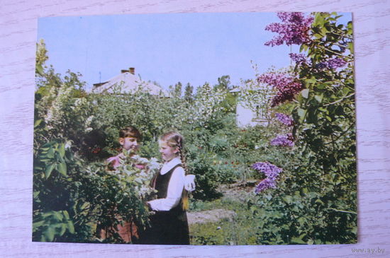 Прибалтика, Латвийская ССР, Поселок рыболовецкого колхоза в Скулте; чистая.