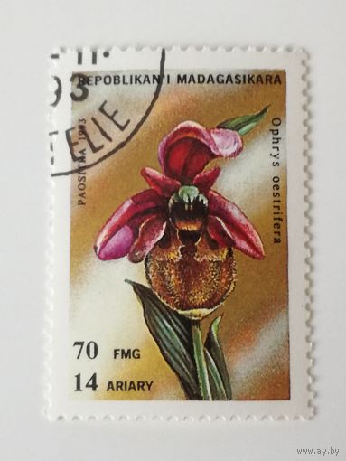 Мадагаскар 1993. Орхидеи. Цветы.