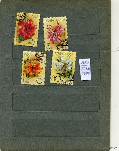 СССР, 1989 , ЦВЕТЫ , серия4м, гашен