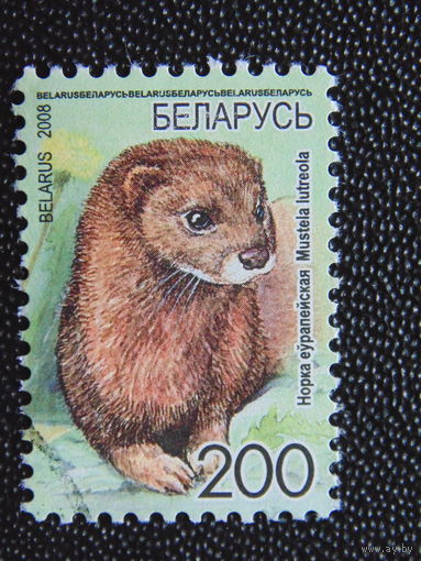 Беларусь 2008 г. Стандарт.