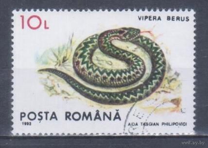 [610] Румыния 1993. Фауна.Рептилии.Змеи.Гадюка. Гашеная марка.