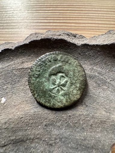 Реч Посполитая  1 грош 1755  Август 3 Надчекан (птица ) Радзивилл