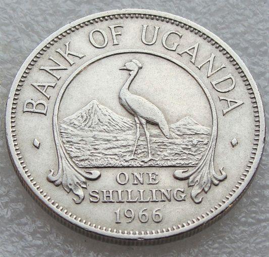 Уганда. 1 шиллинг 1966 год  КМ#5   Тираж: 24.500.000 шт