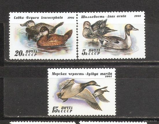 ФФ1 СССР 1991 Утки