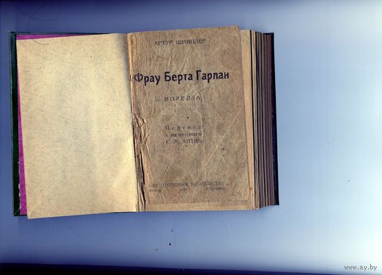 КНИГА, "ФРАУ БЕРТА ГАРЛАН" Артур Шницлер, 1923, 216стр "САМОПАЛЬНЫЙ" переплет