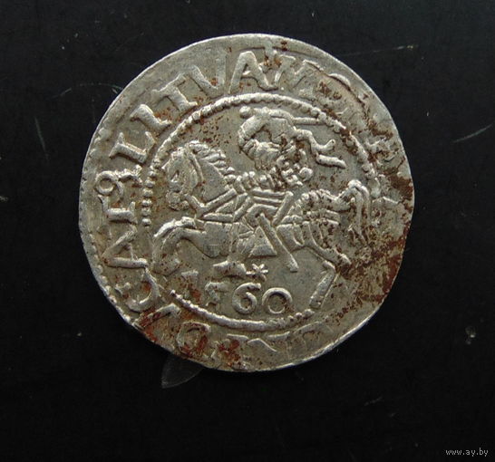 Полугрош 1560