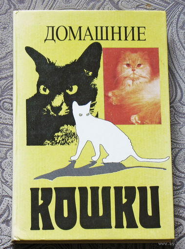 Домашние кошки.