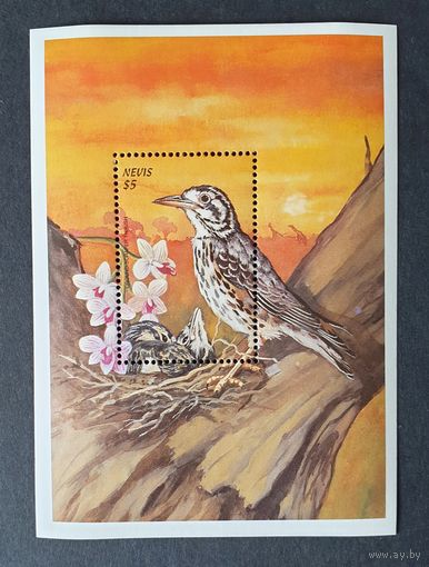 Фауна Птицы 1Б Невис 1999 MNH** Mi 1390 5.5e кат