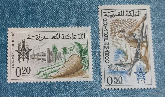 Марокко 1963 Борьба с голодом