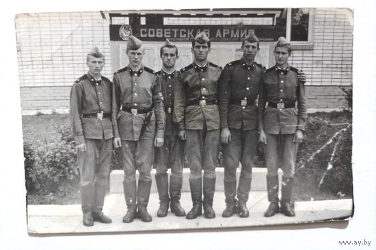 Фото в коллекцию