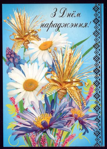 2009 год З днём нараджэння