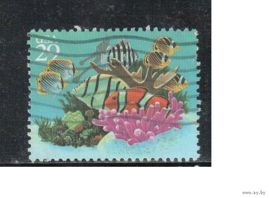 США-1994, (Мих.2503) , гаш. , Морская фауна(1)