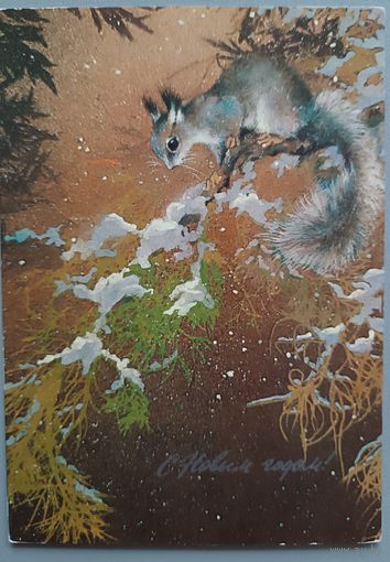 С Новым годом! Белка. А.Исаков. Открытка, чистая, 1982г.