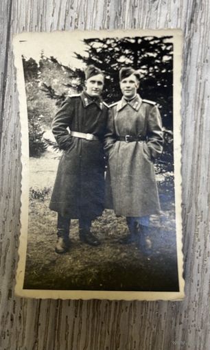 Фотография
