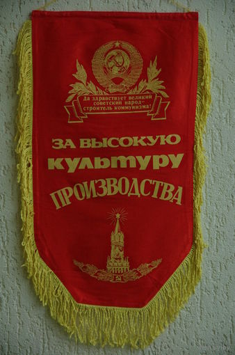 Вымпел   ( 40 х 72 )
