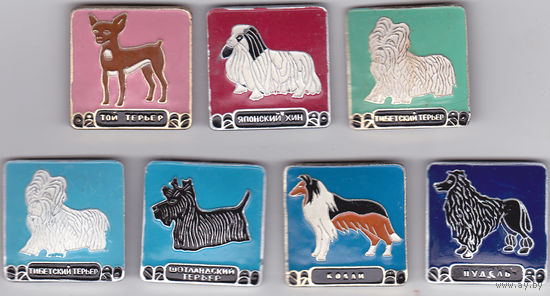 Собаки: тибетский терьер; той терьер; шотландский терьер; японский хин; колли и пудель.