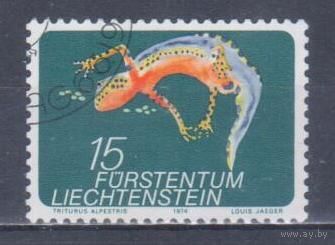 [935] Лихтенштейн 1974. Фауна.Ящерица. Гашеная марка.