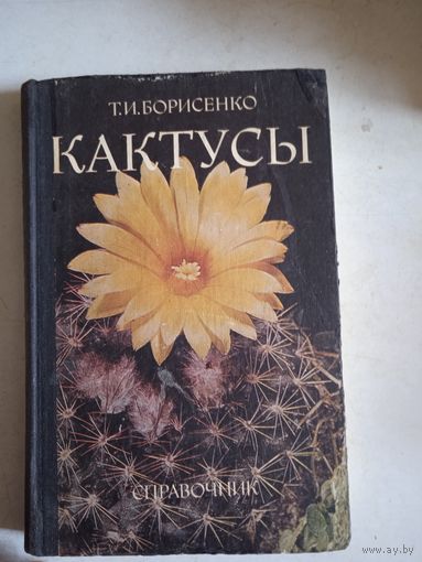 Кактусы