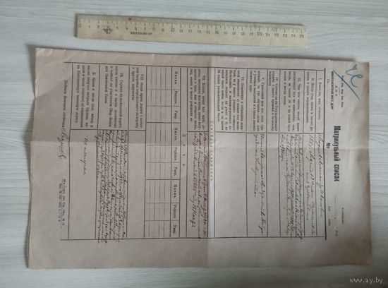 Николаевская ж.д. матрикульный список 1921 год.