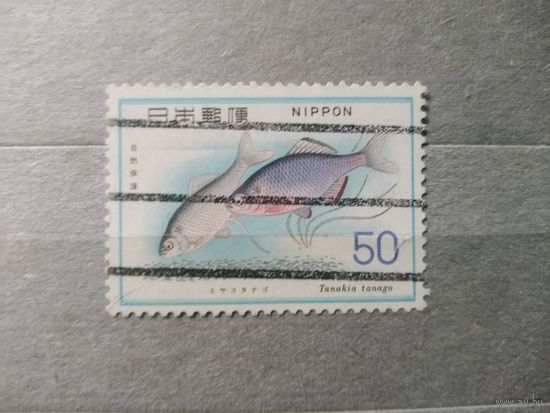 Япония.Фауна.