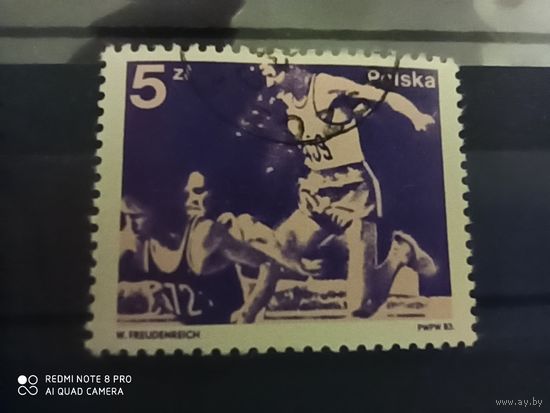 Польша 1983, спорт