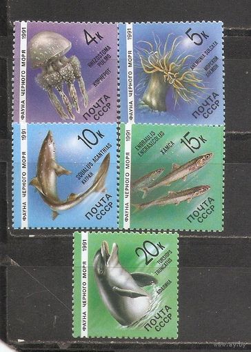 ФФ1 СССР 1991 Фауна черного моря