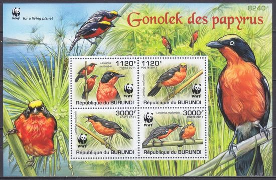 2011 Бурунди 2126-29/B170 WWF / Птицы 11,00 евро