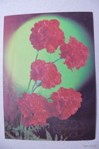 Костенко Г., Поздравляю! 1988, подписана.