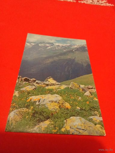Календарик 1981г.