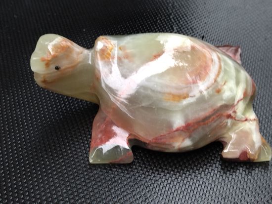 Черепашка оникс