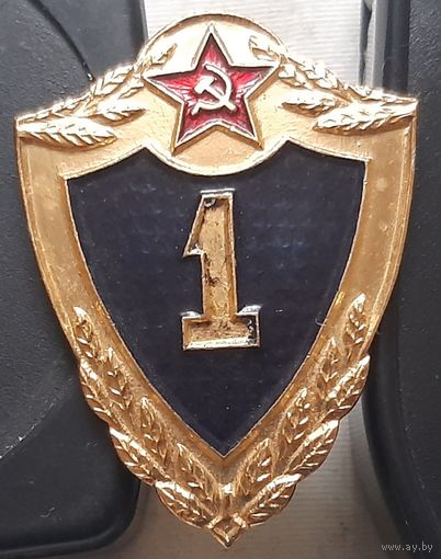 Знак солдатской классности. 1 класс. Ц-24