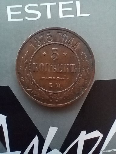 5 копеек 1875 года домашняя